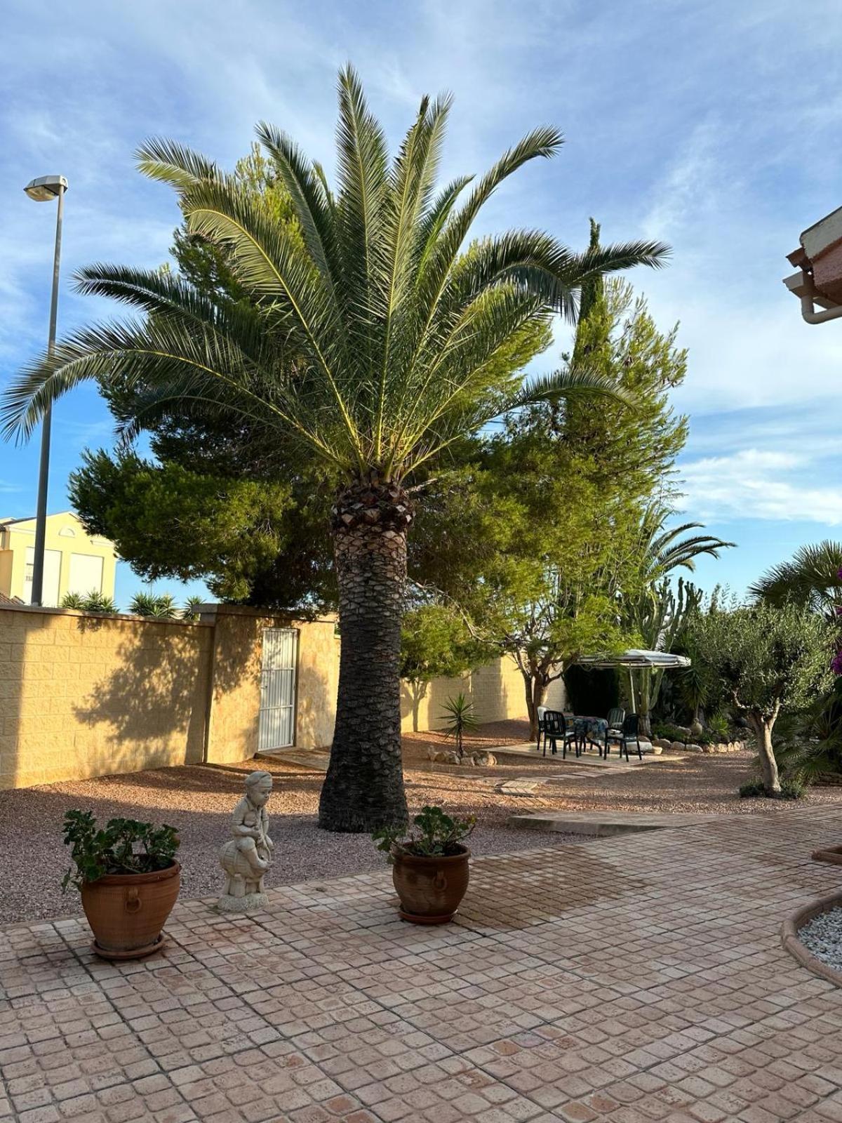 La Casita *